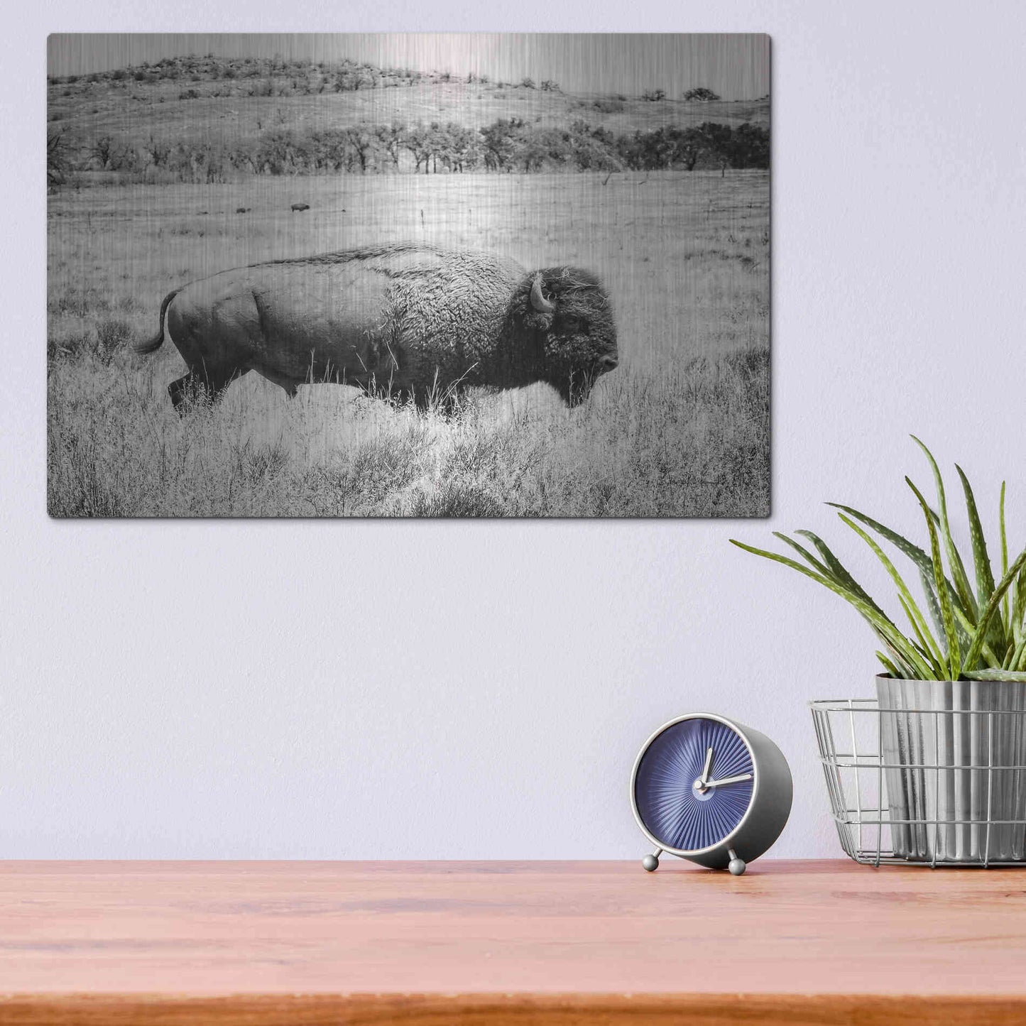 Luxe Metal Art 'Buffalo I BW' by Debra Van Swearingen, Metal Wall Art,16x12