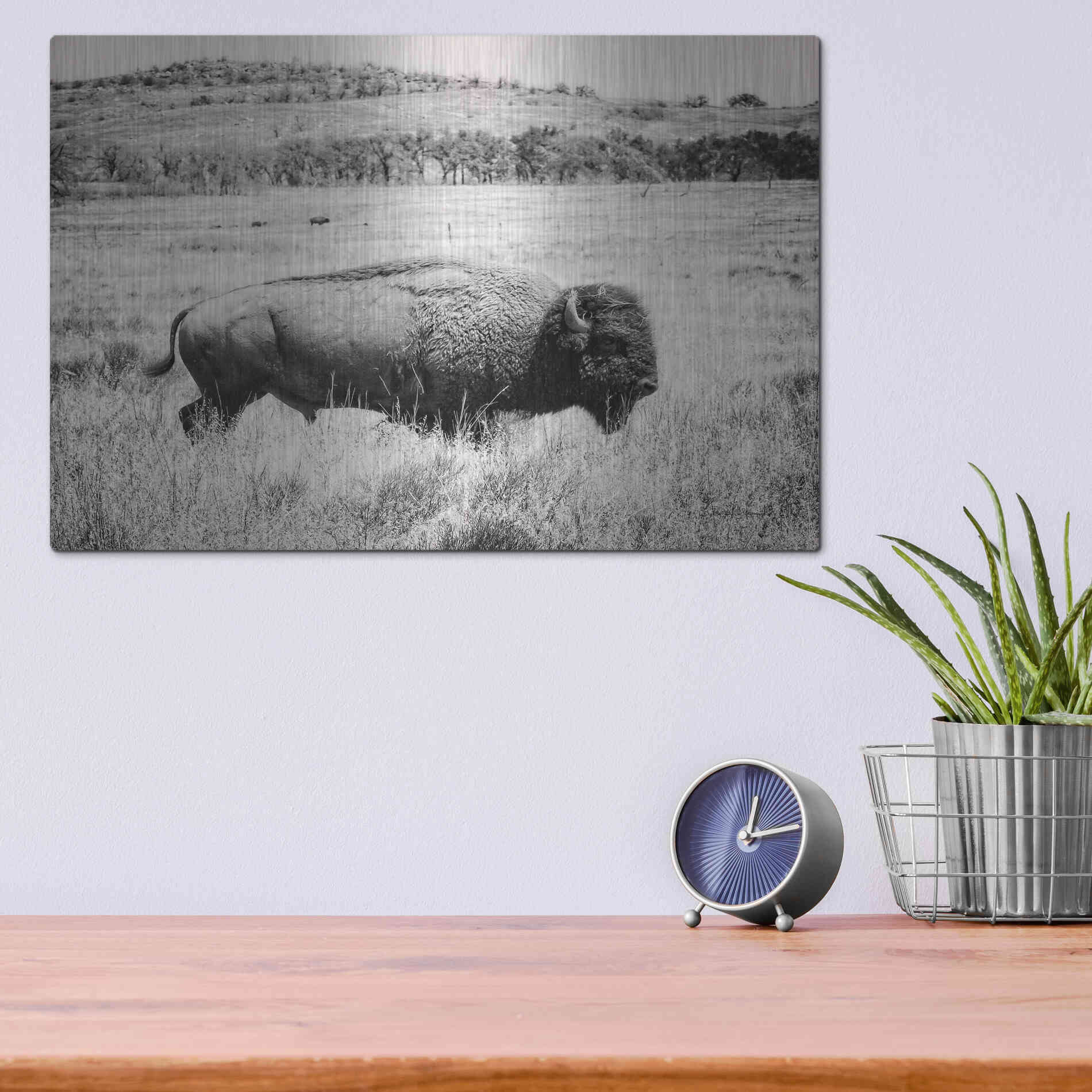 Luxe Metal Art 'Buffalo I BW' by Debra Van Swearingen, Metal Wall Art,16x12