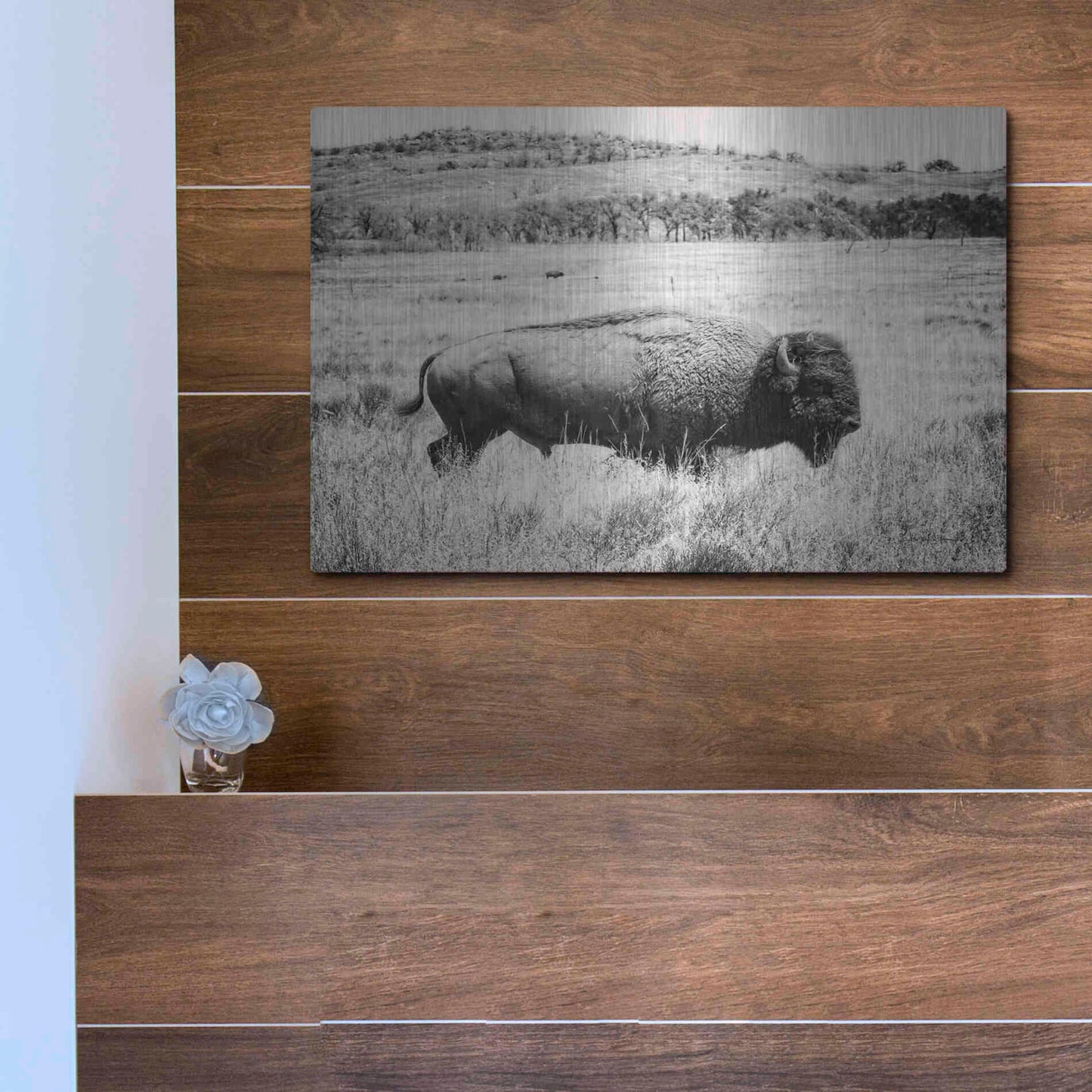Luxe Metal Art 'Buffalo I BW' by Debra Van Swearingen, Metal Wall Art,16x12