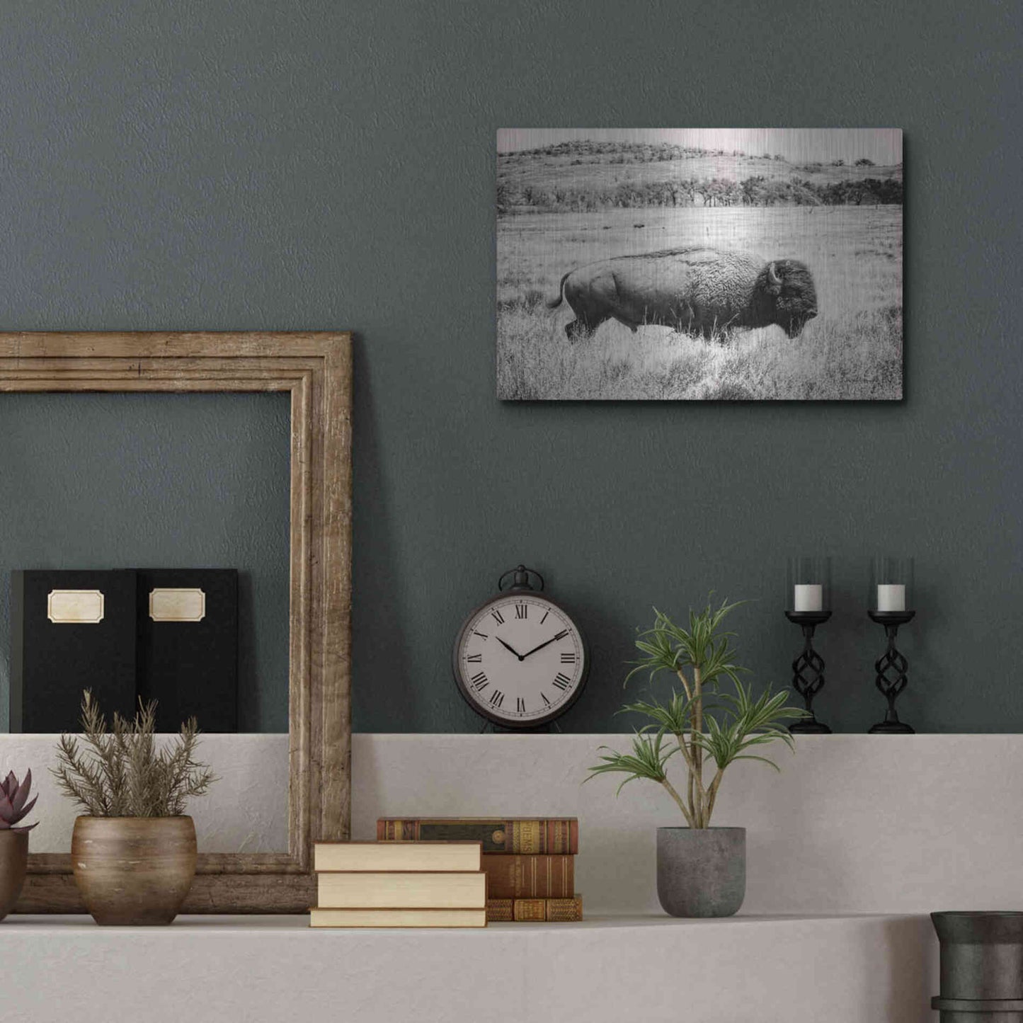 Luxe Metal Art 'Buffalo I BW' by Debra Van Swearingen, Metal Wall Art,16x12