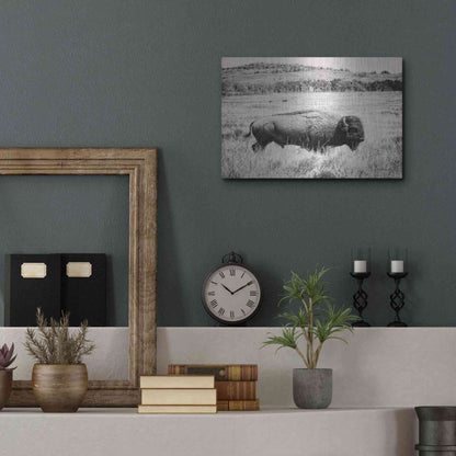 Luxe Metal Art 'Buffalo I BW' by Debra Van Swearingen, Metal Wall Art,16x12