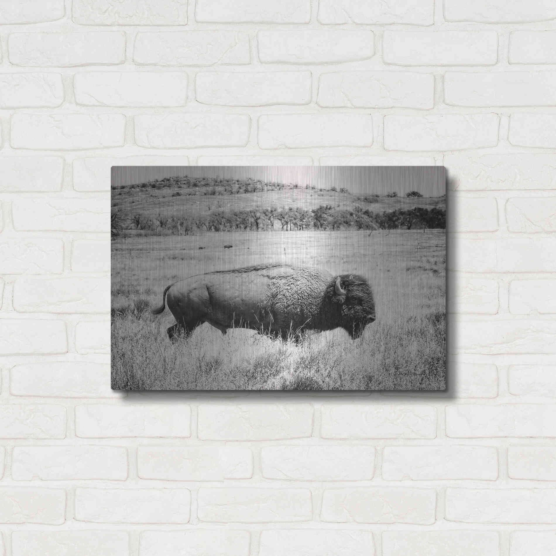 Luxe Metal Art 'Buffalo I BW' by Debra Van Swearingen, Metal Wall Art,24x16