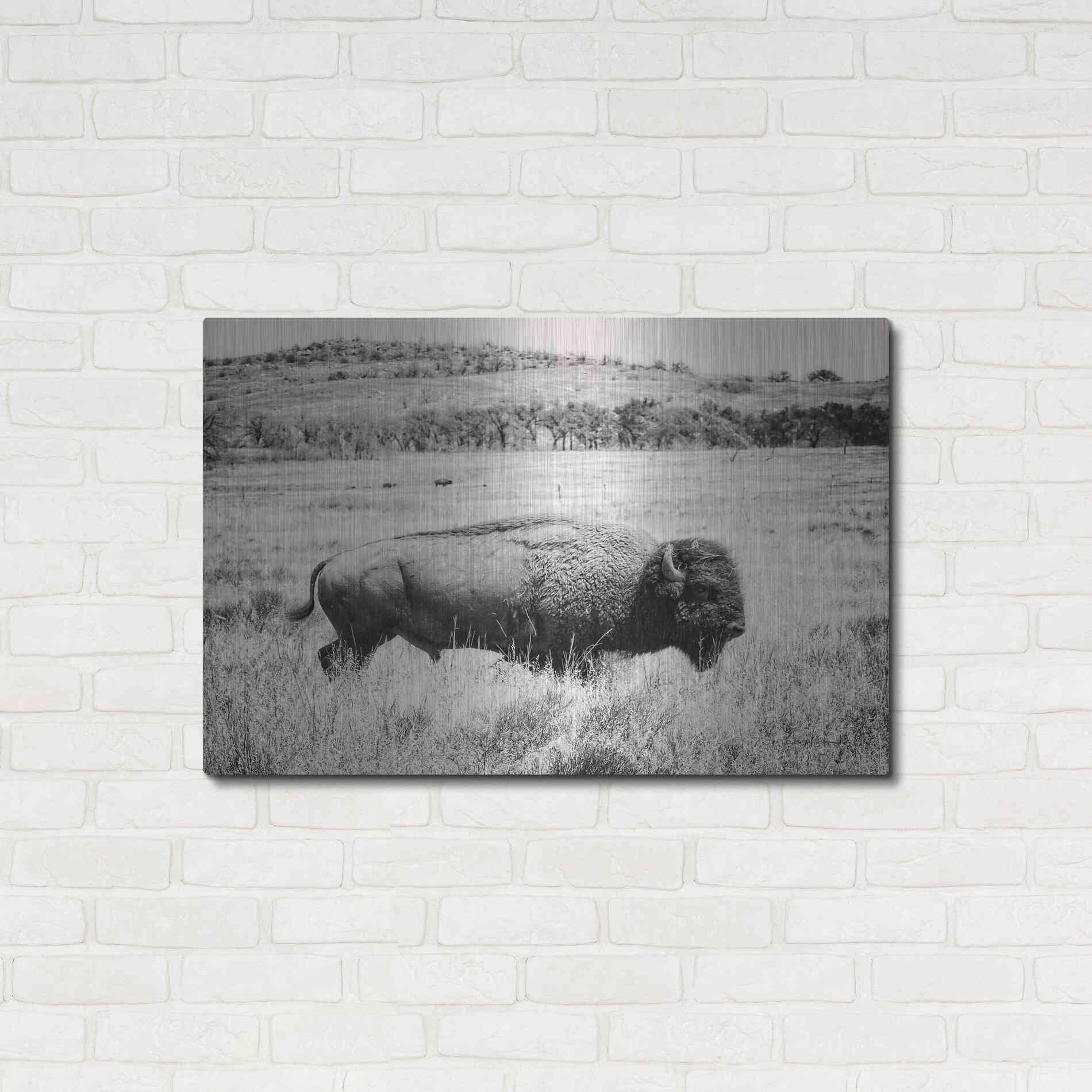 Luxe Metal Art 'Buffalo I BW' by Debra Van Swearingen, Metal Wall Art,36x24