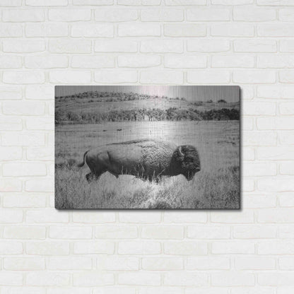 Luxe Metal Art 'Buffalo I BW' by Debra Van Swearingen, Metal Wall Art,36x24