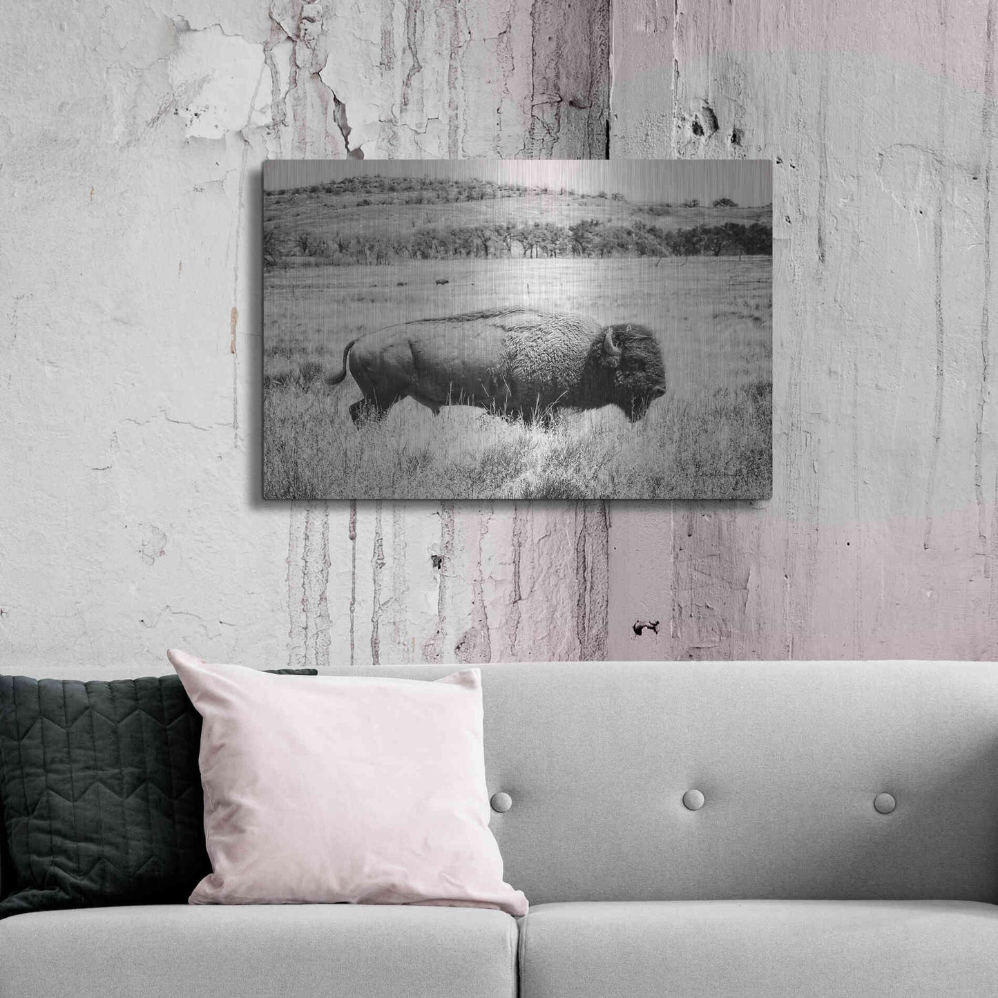 Luxe Metal Art 'Buffalo I BW' by Debra Van Swearingen, Metal Wall Art,36x24