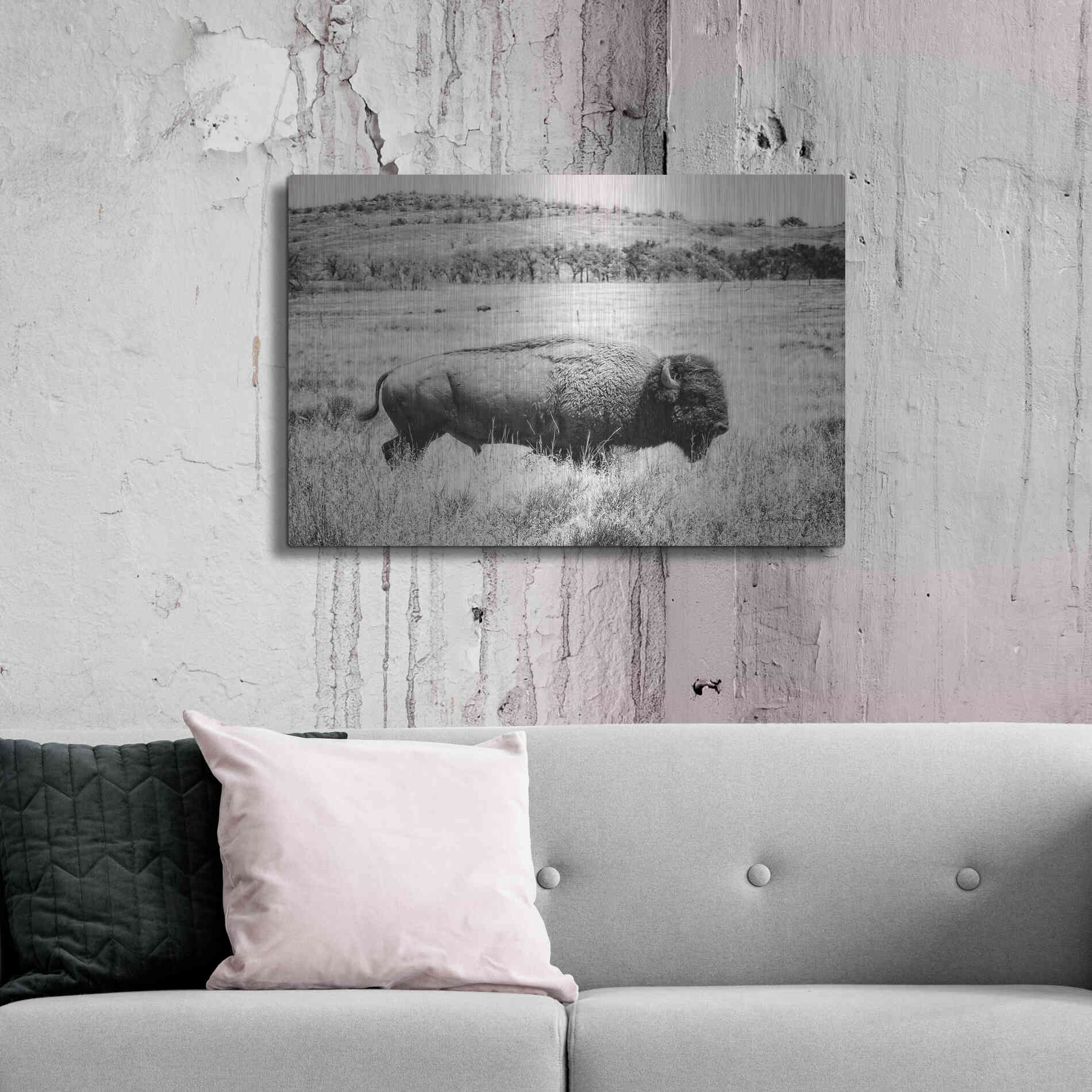 Luxe Metal Art 'Buffalo I BW' by Debra Van Swearingen, Metal Wall Art,36x24
