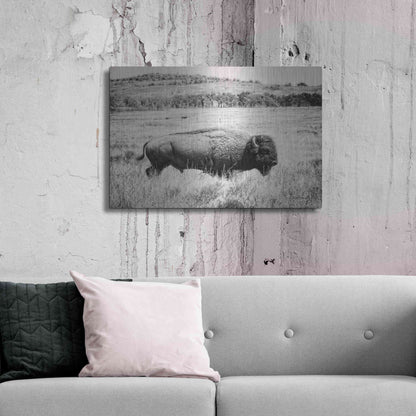 Luxe Metal Art 'Buffalo I BW' by Debra Van Swearingen, Metal Wall Art,36x24