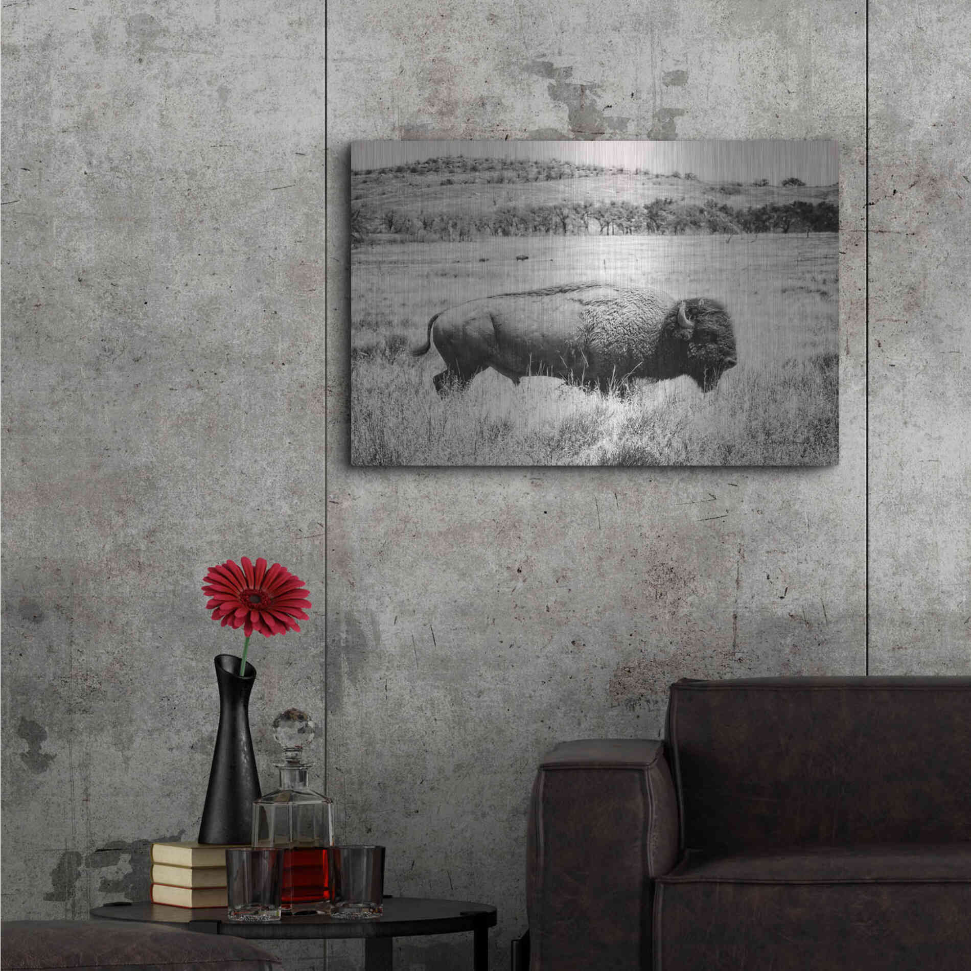 Luxe Metal Art 'Buffalo I BW' by Debra Van Swearingen, Metal Wall Art,36x24