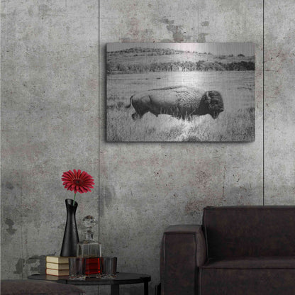 Luxe Metal Art 'Buffalo I BW' by Debra Van Swearingen, Metal Wall Art,36x24
