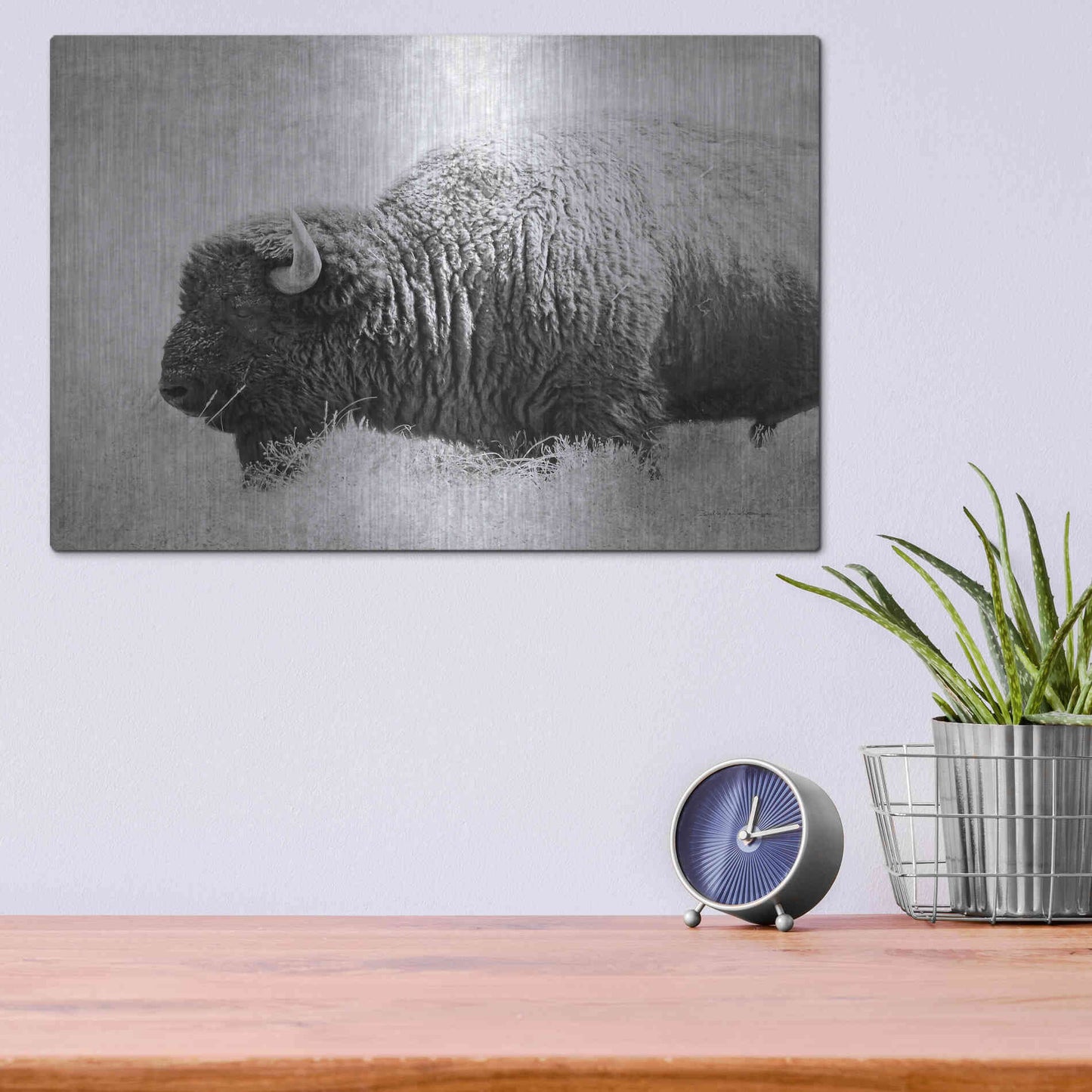 Luxe Metal Art 'Buffalo II BW' by Debra Van Swearingen, Metal Wall Art,16x12