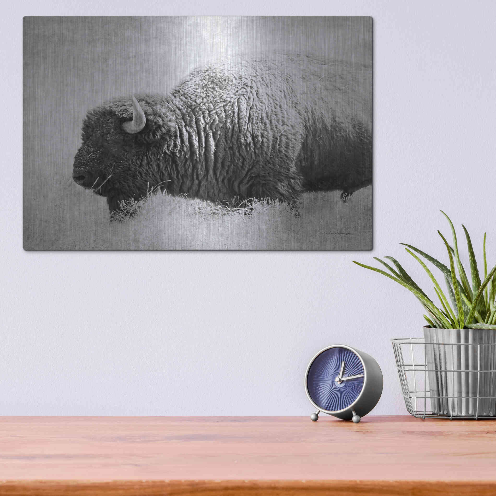 Luxe Metal Art 'Buffalo II BW' by Debra Van Swearingen, Metal Wall Art,16x12