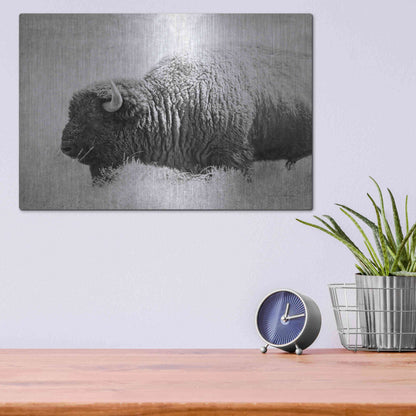 Luxe Metal Art 'Buffalo II BW' by Debra Van Swearingen, Metal Wall Art,16x12
