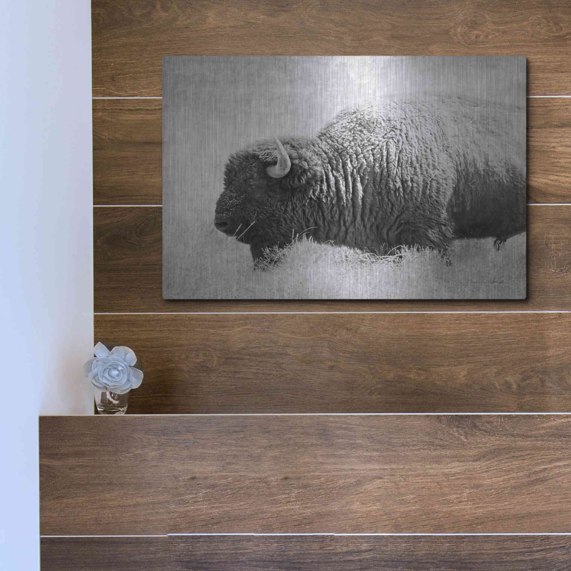 Luxe Metal Art 'Buffalo II BW' by Debra Van Swearingen, Metal Wall Art,16x12