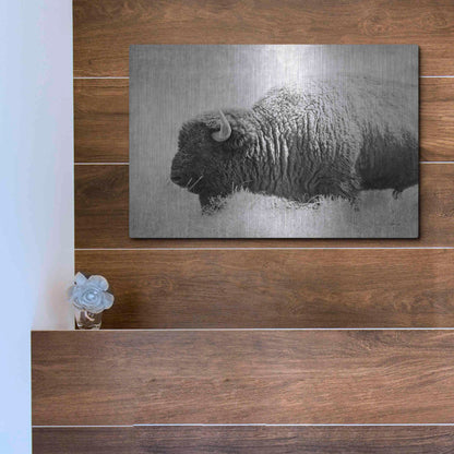 Luxe Metal Art 'Buffalo II BW' by Debra Van Swearingen, Metal Wall Art,16x12