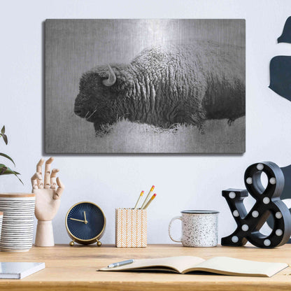Luxe Metal Art 'Buffalo II BW' by Debra Van Swearingen, Metal Wall Art,16x12