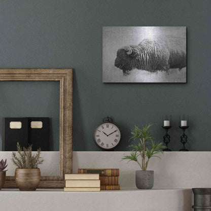 Luxe Metal Art 'Buffalo II BW' by Debra Van Swearingen, Metal Wall Art,16x12