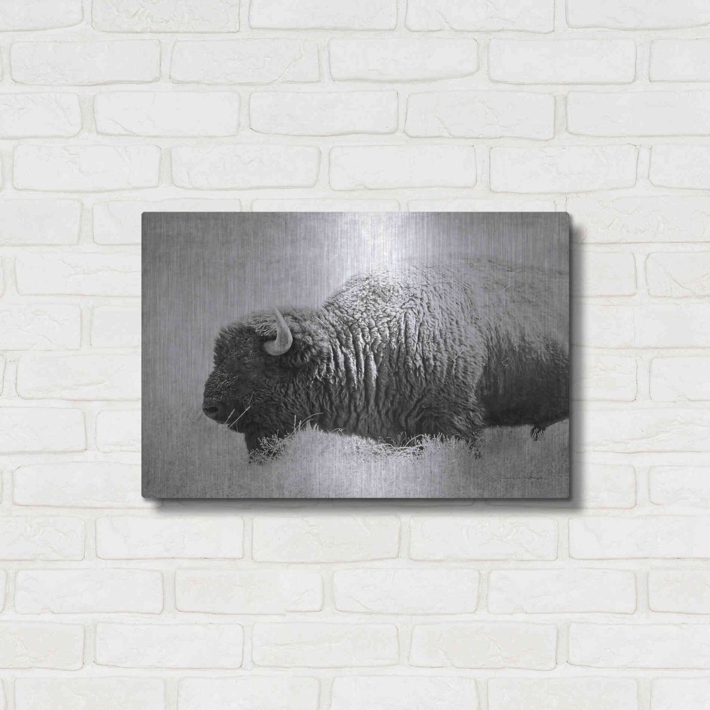 Luxe Metal Art 'Buffalo II BW' by Debra Van Swearingen, Metal Wall Art,24x16