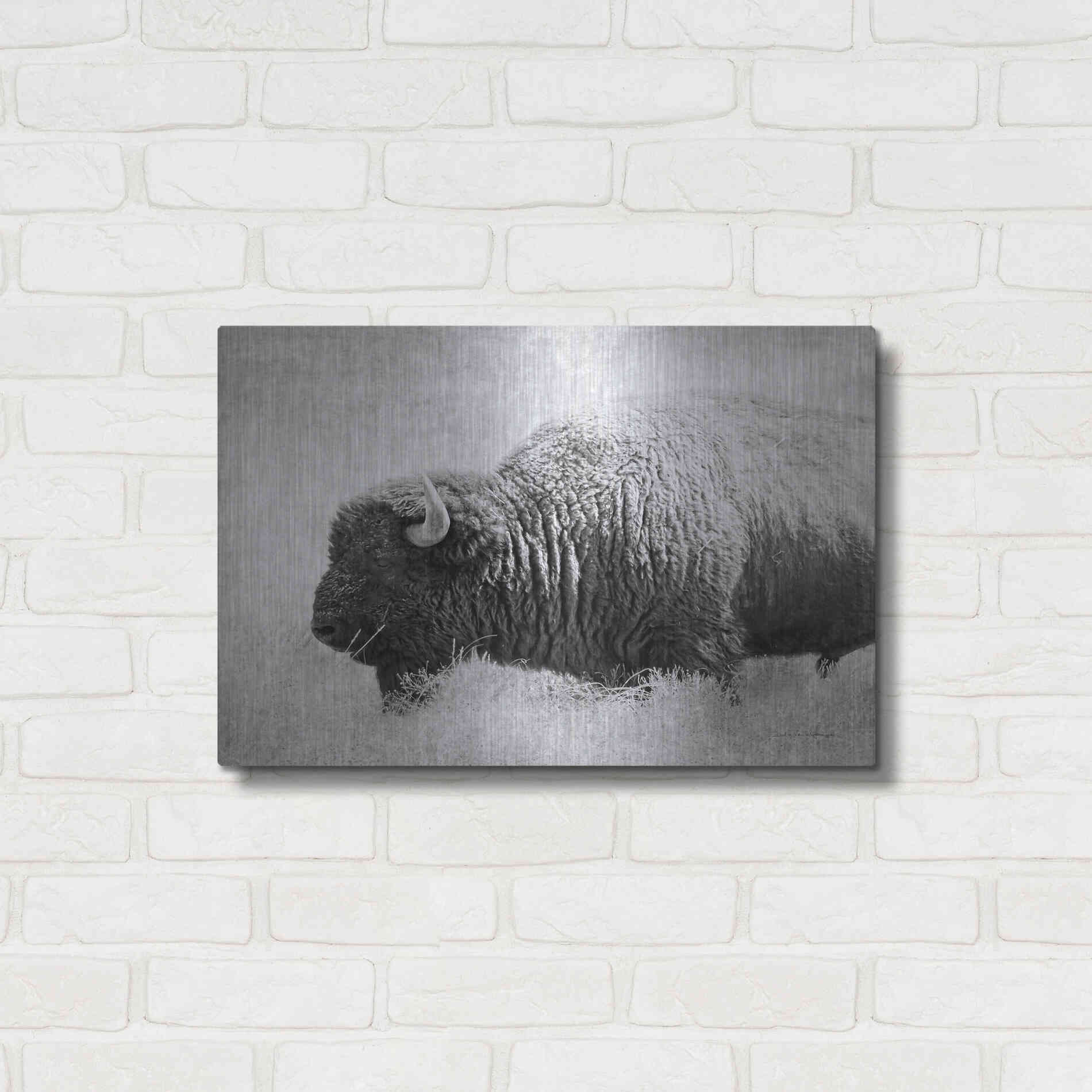 Luxe Metal Art 'Buffalo II BW' by Debra Van Swearingen, Metal Wall Art,24x16