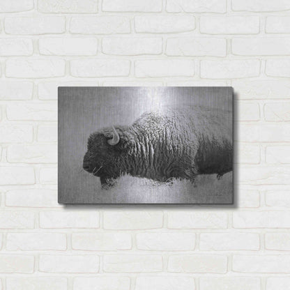 Luxe Metal Art 'Buffalo II BW' by Debra Van Swearingen, Metal Wall Art,24x16