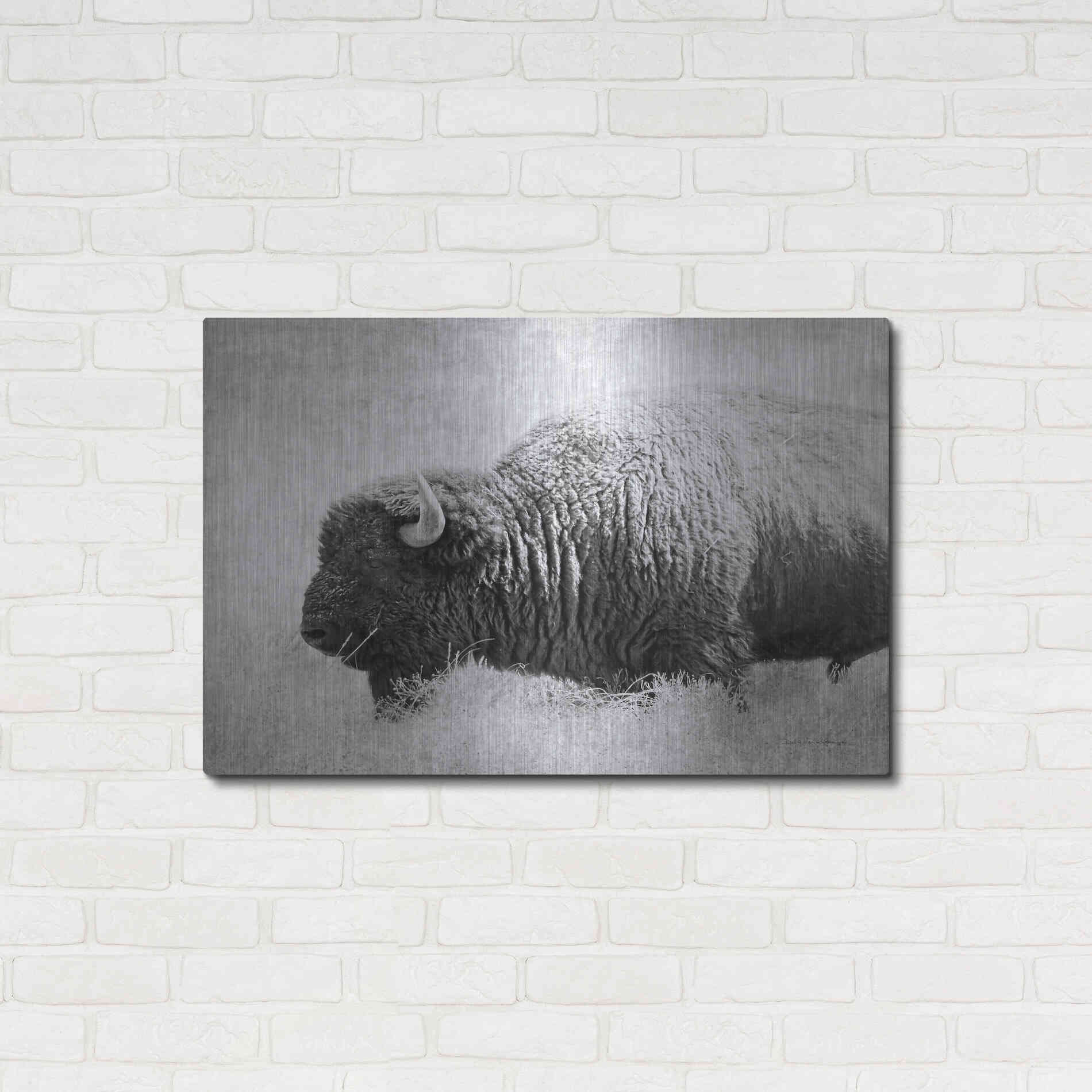Luxe Metal Art 'Buffalo II BW' by Debra Van Swearingen, Metal Wall Art,36x24