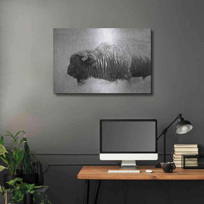 Luxe Metal Art 'Buffalo II BW' by Debra Van Swearingen, Metal Wall Art,36x24