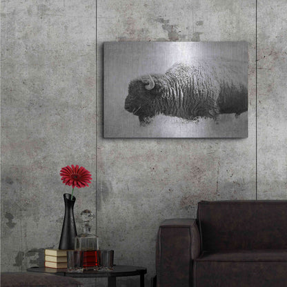 Luxe Metal Art 'Buffalo II BW' by Debra Van Swearingen, Metal Wall Art,36x24