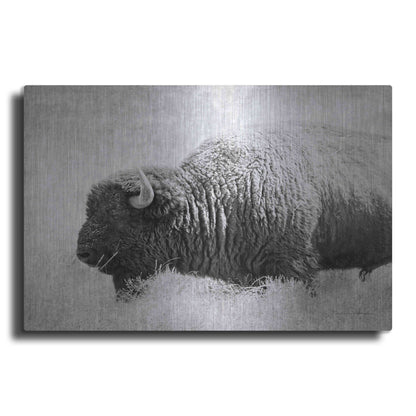 Luxe Metal Art 'Buffalo II BW' by Debra Van Swearingen, Metal Wall Art