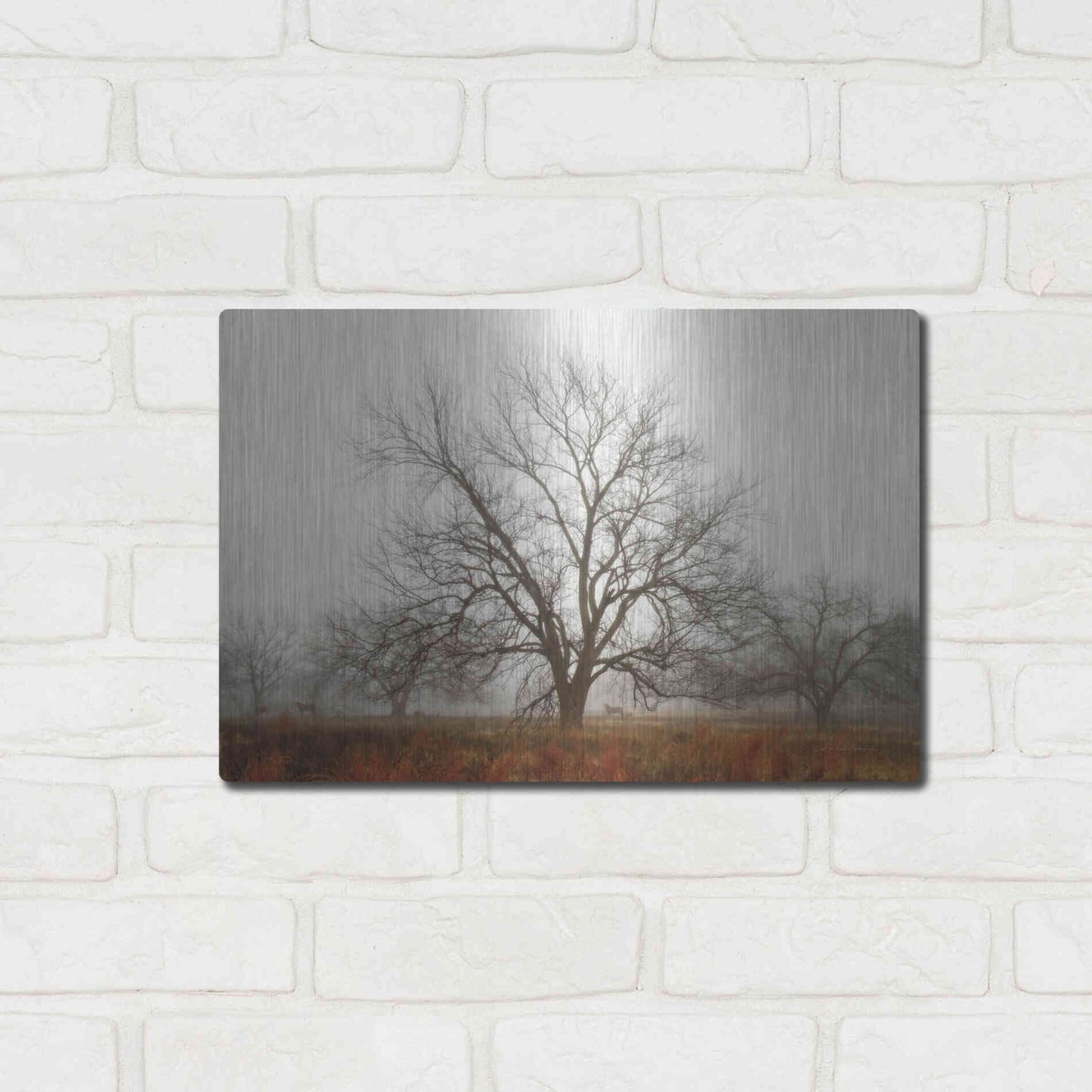 Luxe Metal Art 'Morning Calm I' by Debra Van Swearingen, Metal Wall Art,16x12