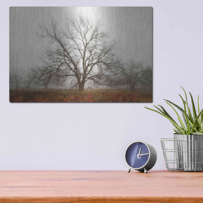 Luxe Metal Art 'Morning Calm I' by Debra Van Swearingen, Metal Wall Art,16x12