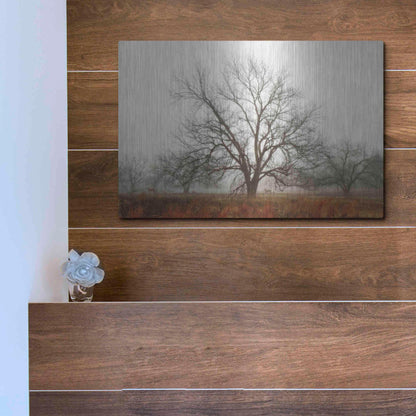 Luxe Metal Art 'Morning Calm I' by Debra Van Swearingen, Metal Wall Art,16x12