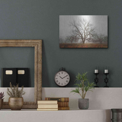 Luxe Metal Art 'Morning Calm I' by Debra Van Swearingen, Metal Wall Art,16x12
