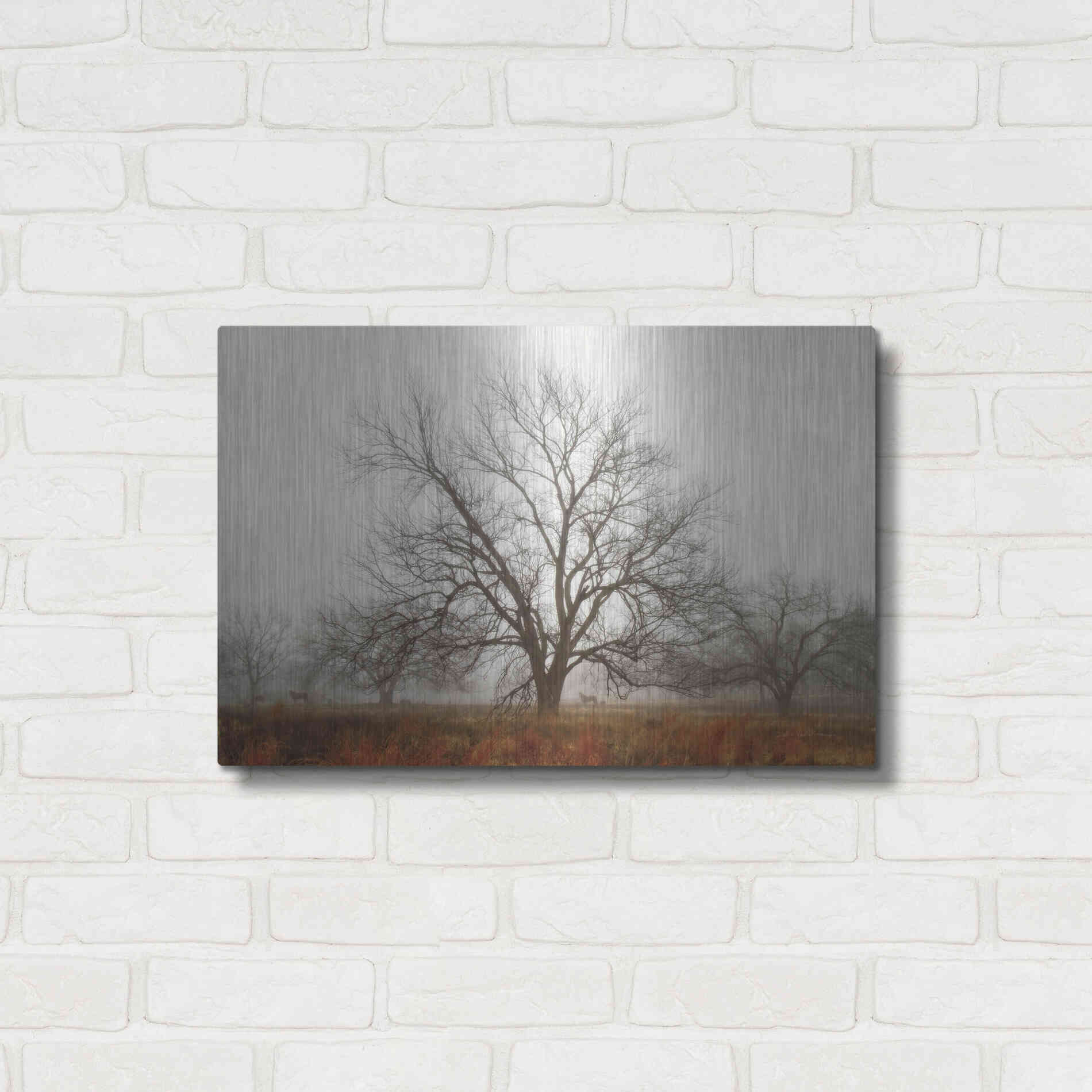 Luxe Metal Art 'Morning Calm I' by Debra Van Swearingen, Metal Wall Art,24x16