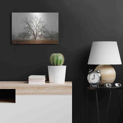 Luxe Metal Art 'Morning Calm I' by Debra Van Swearingen, Metal Wall Art,24x16