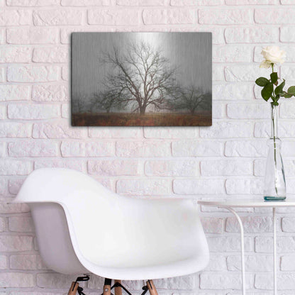 Luxe Metal Art 'Morning Calm I' by Debra Van Swearingen, Metal Wall Art,24x16