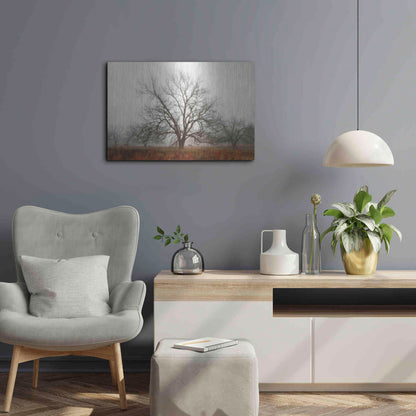 Luxe Metal Art 'Morning Calm I' by Debra Van Swearingen, Metal Wall Art,24x16