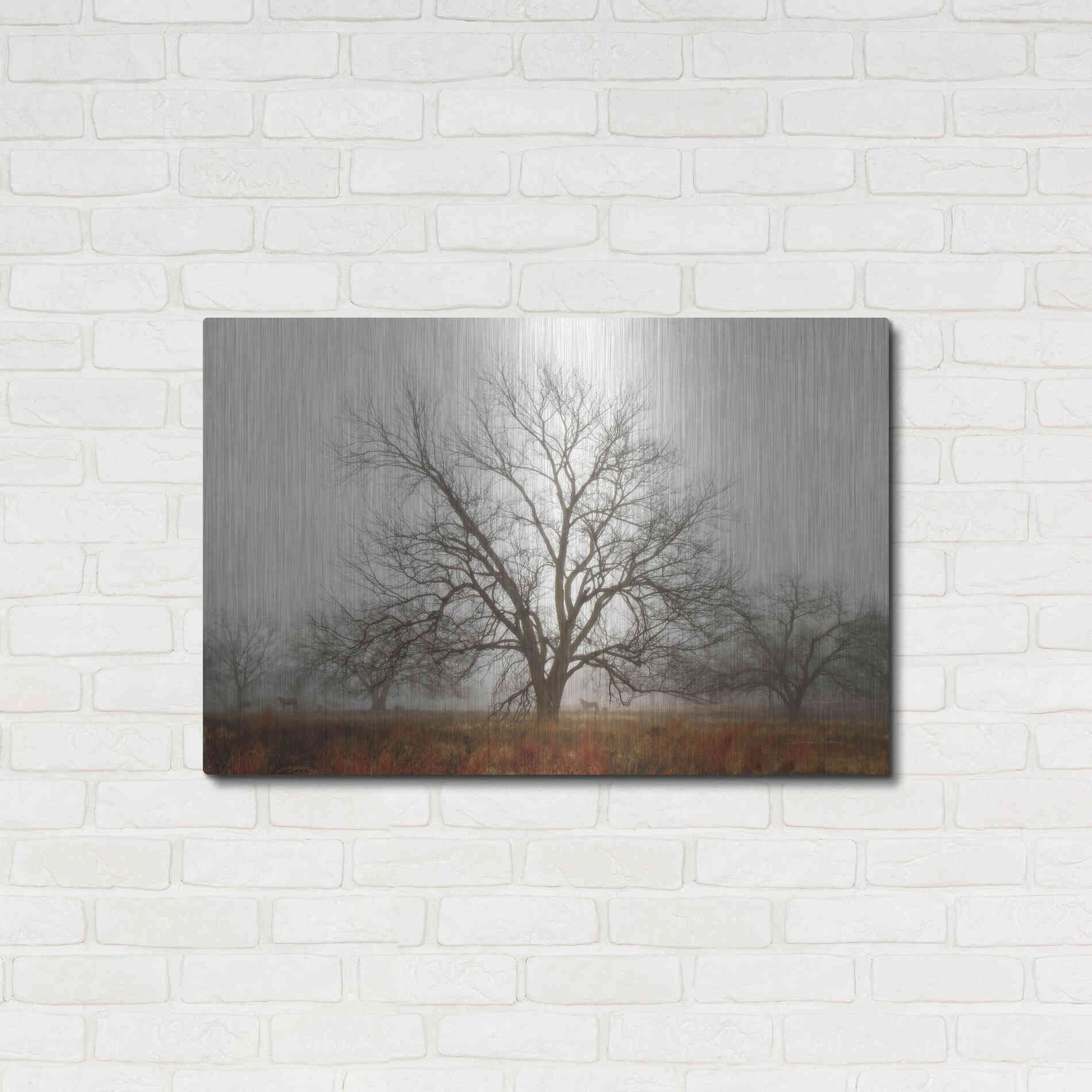 Luxe Metal Art 'Morning Calm I' by Debra Van Swearingen, Metal Wall Art,36x24