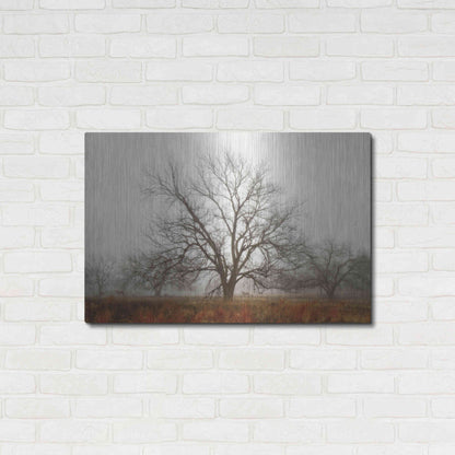 Luxe Metal Art 'Morning Calm I' by Debra Van Swearingen, Metal Wall Art,36x24