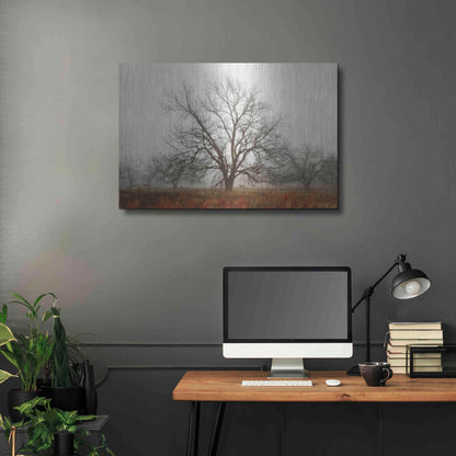 Luxe Metal Art 'Morning Calm I' by Debra Van Swearingen, Metal Wall Art,36x24