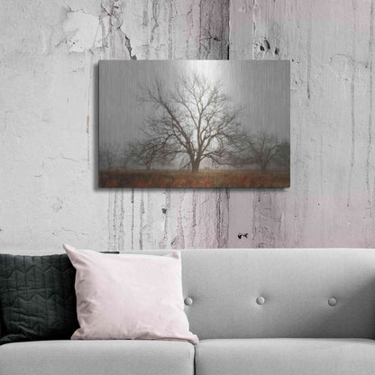 Luxe Metal Art 'Morning Calm I' by Debra Van Swearingen, Metal Wall Art,36x24