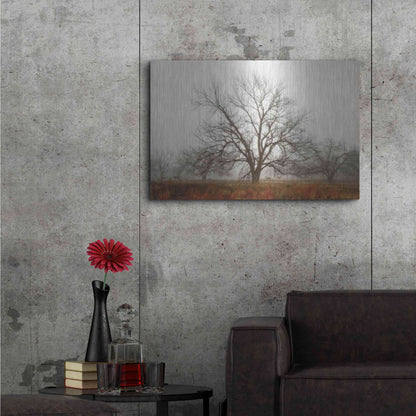 Luxe Metal Art 'Morning Calm I' by Debra Van Swearingen, Metal Wall Art,36x24