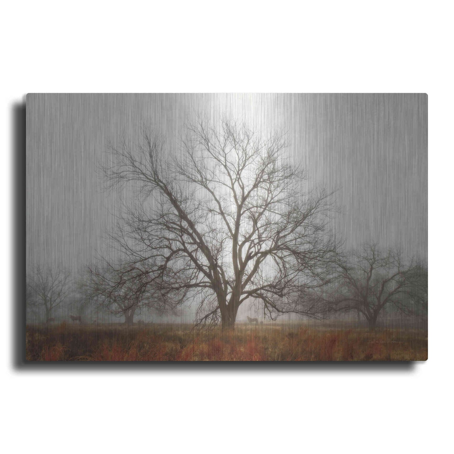 Luxe Metal Art 'Morning Calm I' by Debra Van Swearingen, Metal Wall Art