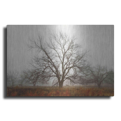 Luxe Metal Art 'Morning Calm I' by Debra Van Swearingen, Metal Wall Art