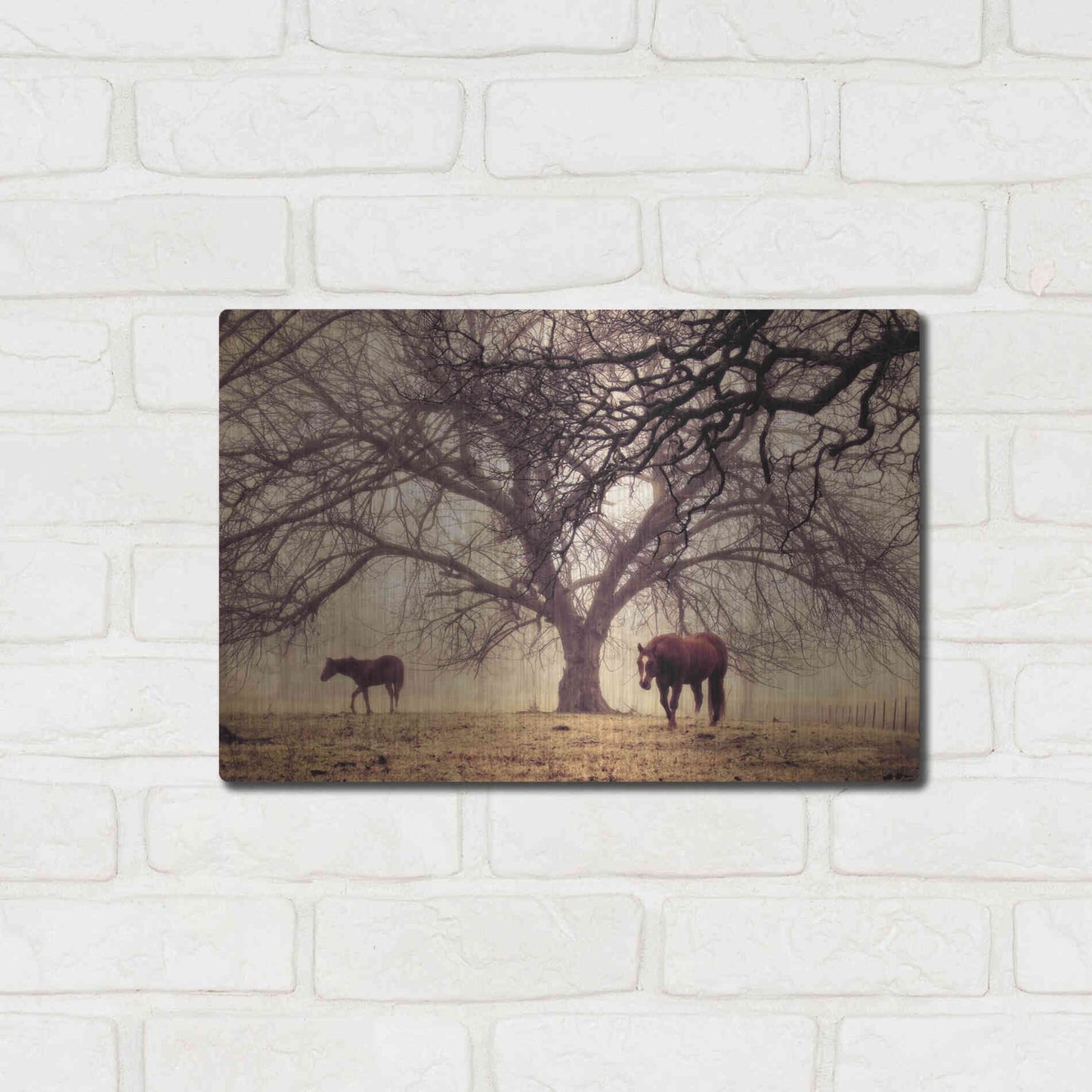 Luxe Metal Art 'Morning Calm II' by Debra Van Swearingen, Metal Wall Art,16x12