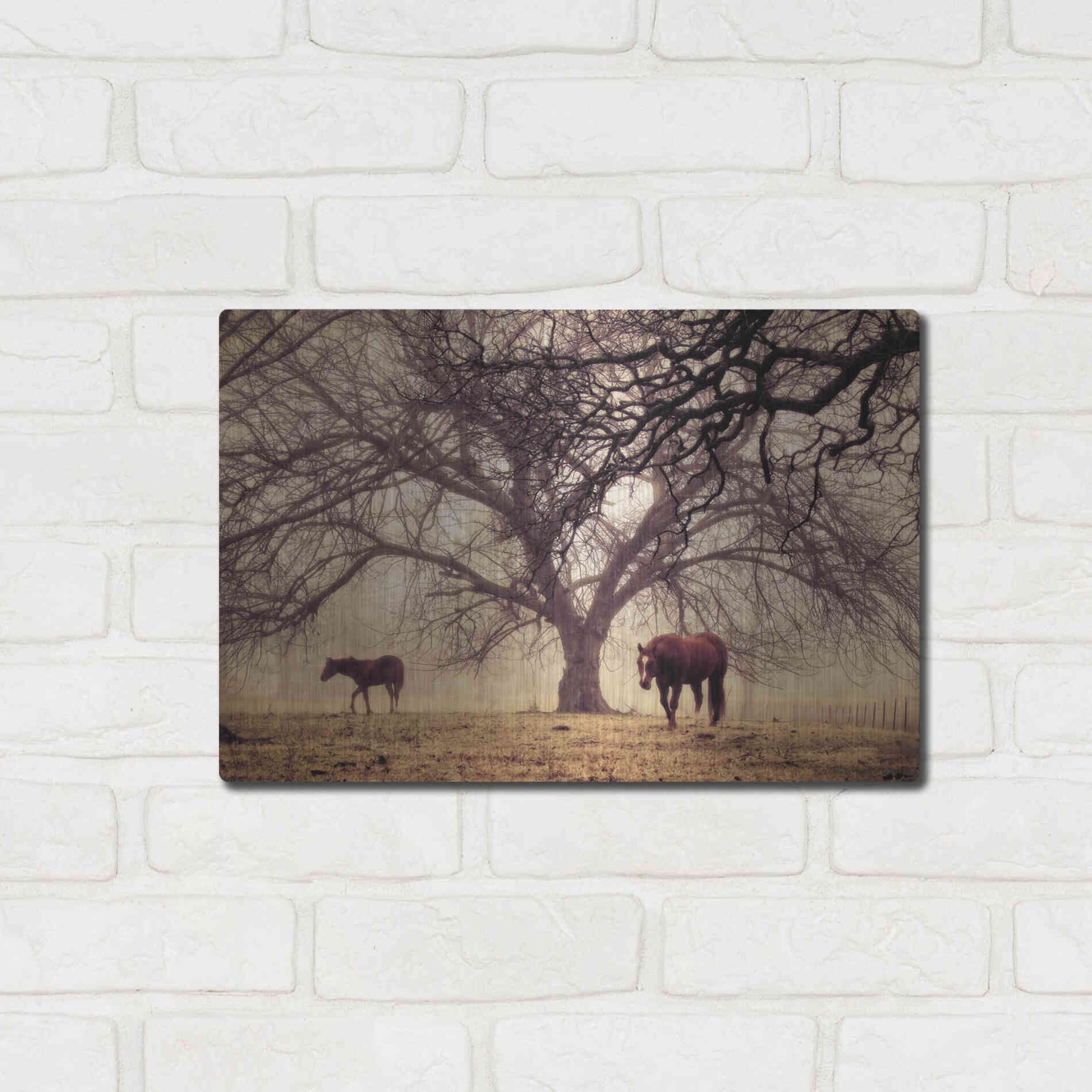 Luxe Metal Art 'Morning Calm II' by Debra Van Swearingen, Metal Wall Art,16x12