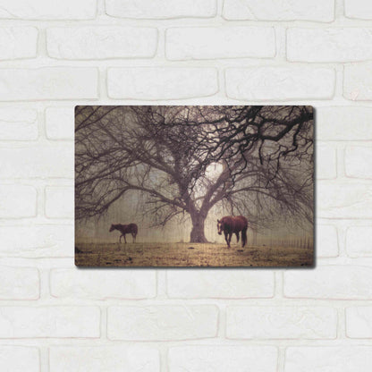 Luxe Metal Art 'Morning Calm II' by Debra Van Swearingen, Metal Wall Art,16x12