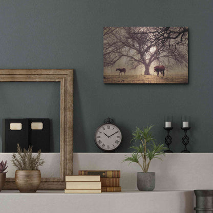 Luxe Metal Art 'Morning Calm II' by Debra Van Swearingen, Metal Wall Art,16x12
