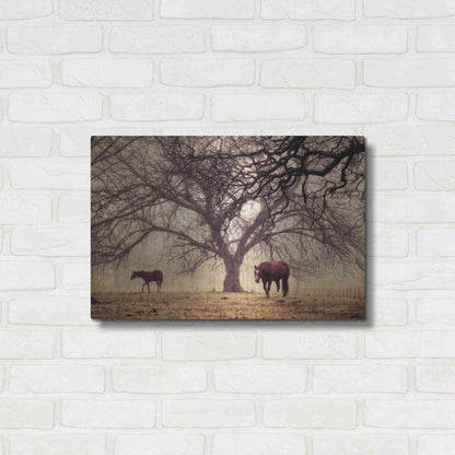 Luxe Metal Art 'Morning Calm II' by Debra Van Swearingen, Metal Wall Art,24x16