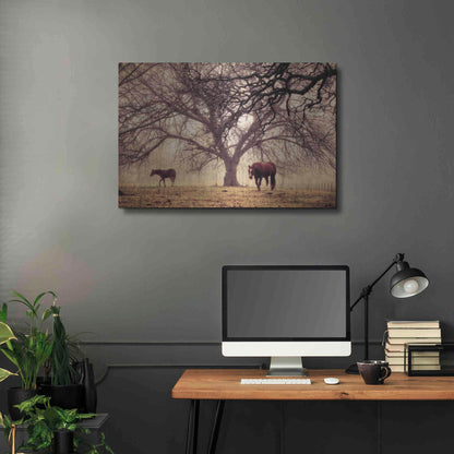 Luxe Metal Art 'Morning Calm II' by Debra Van Swearingen, Metal Wall Art,36x24