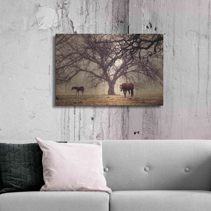 Luxe Metal Art 'Morning Calm II' by Debra Van Swearingen, Metal Wall Art,36x24