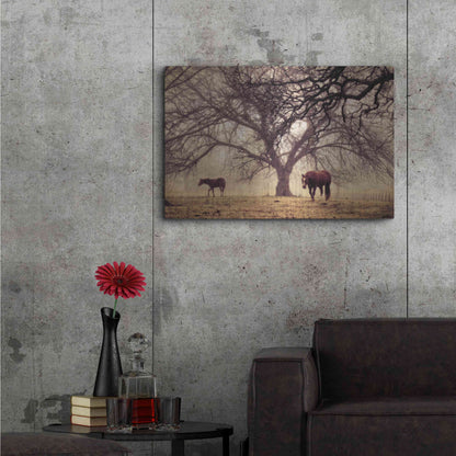 Luxe Metal Art 'Morning Calm II' by Debra Van Swearingen, Metal Wall Art,36x24